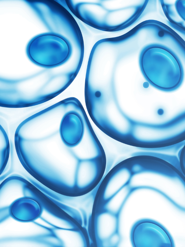 Cells with Regenerative Potential
