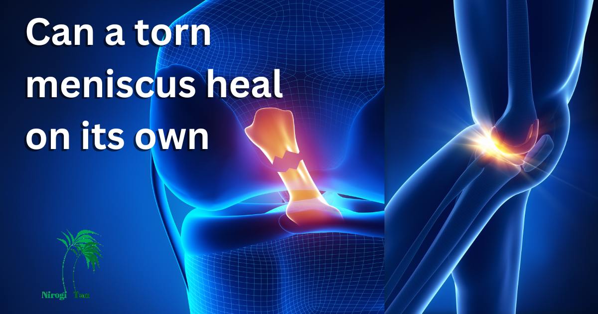 Can a torn meniscus heal on its own - Nirogi Tan