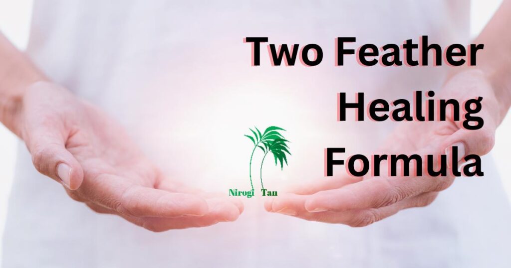 Two Feather Healing Formula