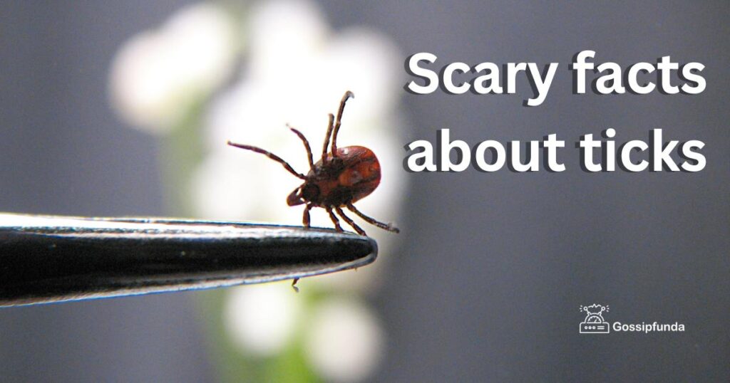 Scary facts about ticks